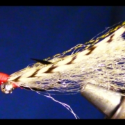 How-to-tie-Doc-Halls-Tailing-Shrimp-Fly-tying-made-easy