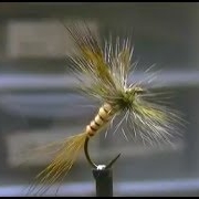 How-to-tie-a-Hex-Fly-female