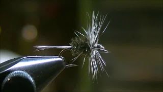How-to-tie-a-Peacock-Midge-Dry-Fly