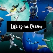 Life-is-an-Ocean