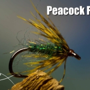 Peacock-Flymph-wet-fly-tying