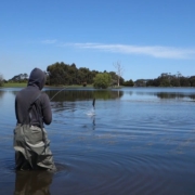 The-Flyfisher.-Australias-home-of-flyfishing