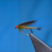 Tying-a-Golden-Olive-Wet-Fly-by-Davie-McPhail