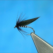 Tying-a-Magpie-Tail-Clyde-Style-Night-Wet-Fly-with-Davie-McPhail