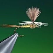 Tying-a-Parachute-Blue-winged-olive-with-Barry-Ord-Clarke