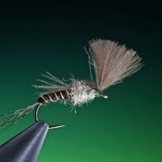 Tying-a-large-dark-olive-emerger-with-Barry-Ord-Clarke