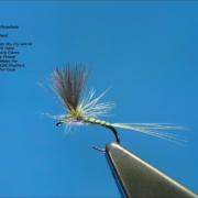 Tying-and-Fishing-a-Small-Olive-CDC-Parachute-Dry-Fly-by-Davie-McPhail