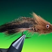 Tying-the-Cottus-Gobi-sculpin-with-Barry-Ord-Clarke