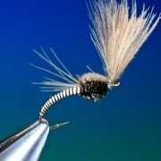 Tying-the-moose-mane-midge-with-Barry-Ord-Clarke