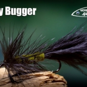 Woolly-Bugger-classic-trout-fly-tying