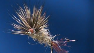 Beginner-Fly-Tying-a-Hares-Ear-Comparadun-with-Jim-Misiura