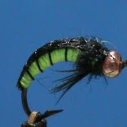 Beginner-Fly-Tying-a-Large-Caddis-Larve-with-Jim-Misiura