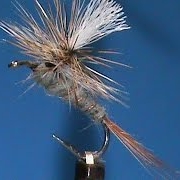 Beginner-Fly-Tying-a-Simple-Parachute-Adams-with-Jim-Misiura