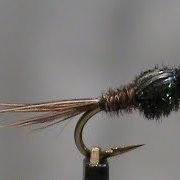 Beginner-Fly-Tying-a-Stiff-Side-Soft-Side-Pheasant-Tail-with-Jim-Misiura