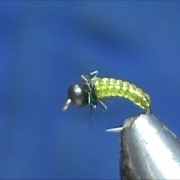 Beginner-Fly-Tying-a-Streatch-Rib-Caddis-Larva-with-Jim-Misiura