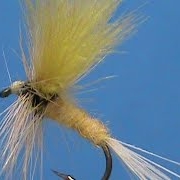 Beginner-Fly-Tying-a-Yellow-Cahill-Wolf-with-Jim-Misiura