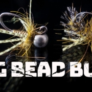 Big-Bead-Bugs