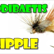 Caddibaetis-Fripple-by-Fly-Fish-Food