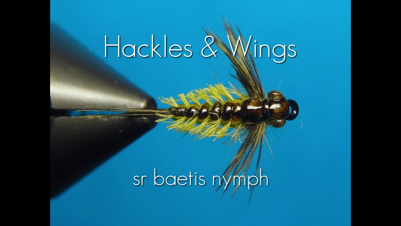 Fly-Tying-Baetis-Nymph-SR-Hackles-Wings