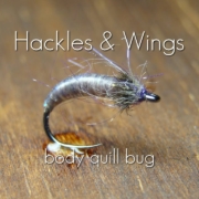Fly-Tying-Body-Quill-Bug-Hackles-Wings