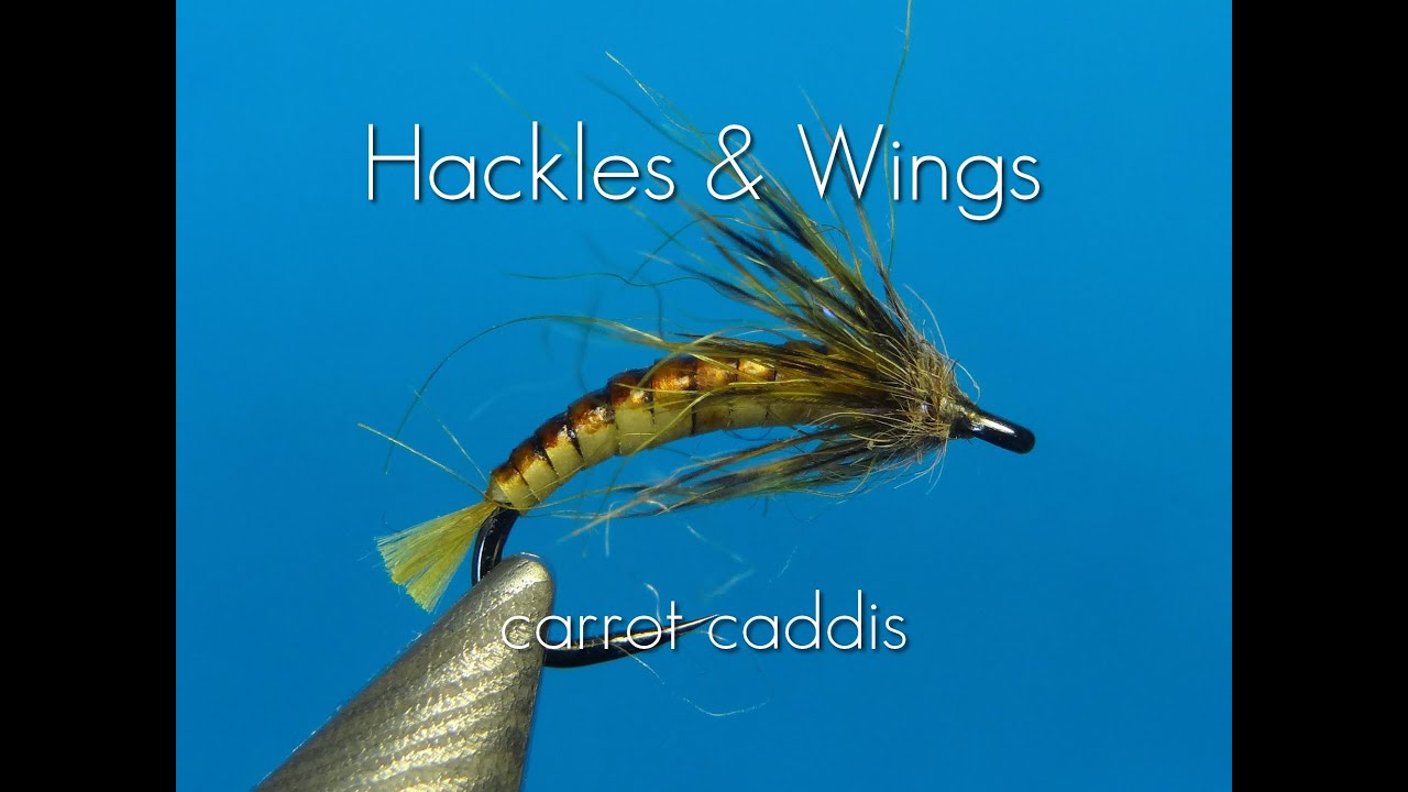 Fly-Tying-Carrot-Caddis-Hackles-Wings