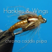 Fly-Tying-Chroma-Caddis-Pupa-Hackles-Wings