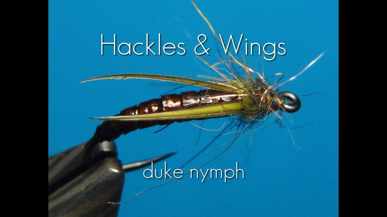 Fly-Tying-Duke-Nymph-Hackles-Wings