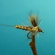 Fly-Tying-Mohican-Mayfly-Detached-Body