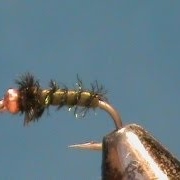 Fly-Tying-a-Bead-Head-Caddis-Larva-with-Jim-Misiura