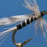 Fly-Tying-a-California-Mosquito-with-Jim-Misiura