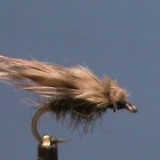 Fly-Tying-a-Chicken-Poop-Caddis-with-Jim-Misiura