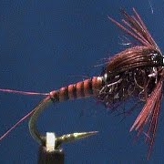 Fly-Tying-a-Clairet-Mayfly-Nymph-with-Jim-Misiura