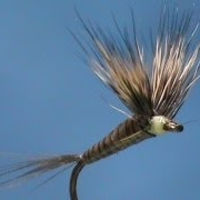 Fly-Tying-a-DC-Quill-Gordon-with-Jim-Misiura