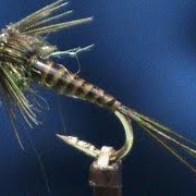 Fly-Tying-a-Deer-Creek-Olive-Nymph-with-Jim-Misiura