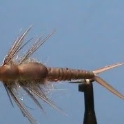 Fly-Tying-a-Deer-Creek-Stonefly-with-Jim-Misiura