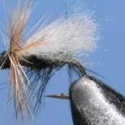 Fly-Tying-a-Fluttering-Stonefly-with-Jim-Misiura