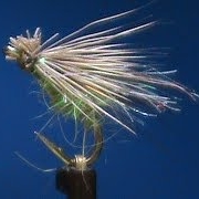 Fly-Tying-a-GSS-Caddis-with-Jim-Misiura