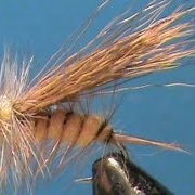 Fly-Tying-a-Golden-Stonefly-with-Jim-Misiura