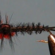 Fly-Tying-a-Helgramite-with-Jim-Misiura