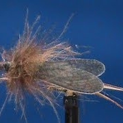 Fly-Tying-a-Little-Brown-Hemingway-Stonefly-with-Jim-Misiura