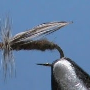 Fly-Tying-a-Little-Brown-Stonefly-with-Jim-Misiura