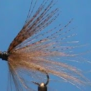 Fly-Tying-a-March-Brown-Cripple-with-Jim-Misiura