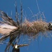 Fly-Tying-a-Peeping-Caddis-with-Jim-Misiura