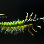 Fly-Tying-a-Rhyacophila-Caddis-Larva-by-Mak
