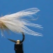 Fly-Tying-a-Spent-Caddis-with-Jim-Misiura