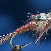 Fly-Tying-a-Sword-Back-Nymph-with-Jim-Misiura