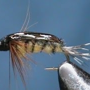 Fly-Tying-a-Telico-with-Jim-Misiura