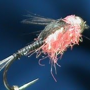 Fly-Tying-a-Trout-Hammer-with-Jim-Misiura