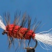 Fly-Tying-a-Yellow-and-Red-Buck-Bug-with-Jim-Misiura