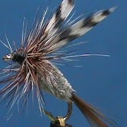 Fly-Tying-an-Adams-Irresistable-with-Jim-Misiura